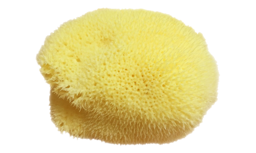 天然海藻绵（M）