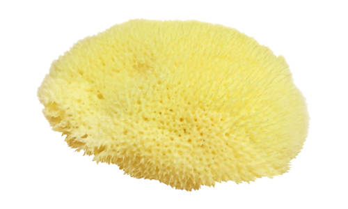 天然海藻绵（S）